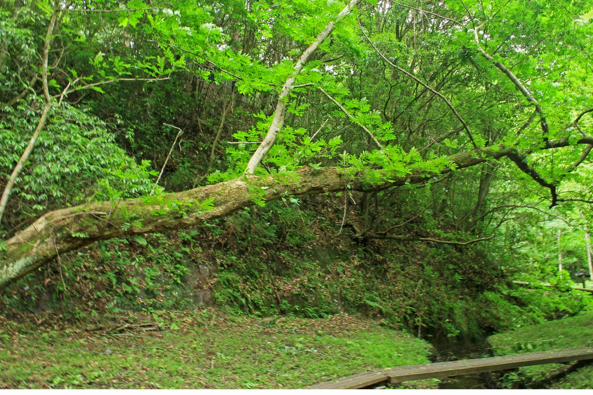 c0104227_9324311.jpg