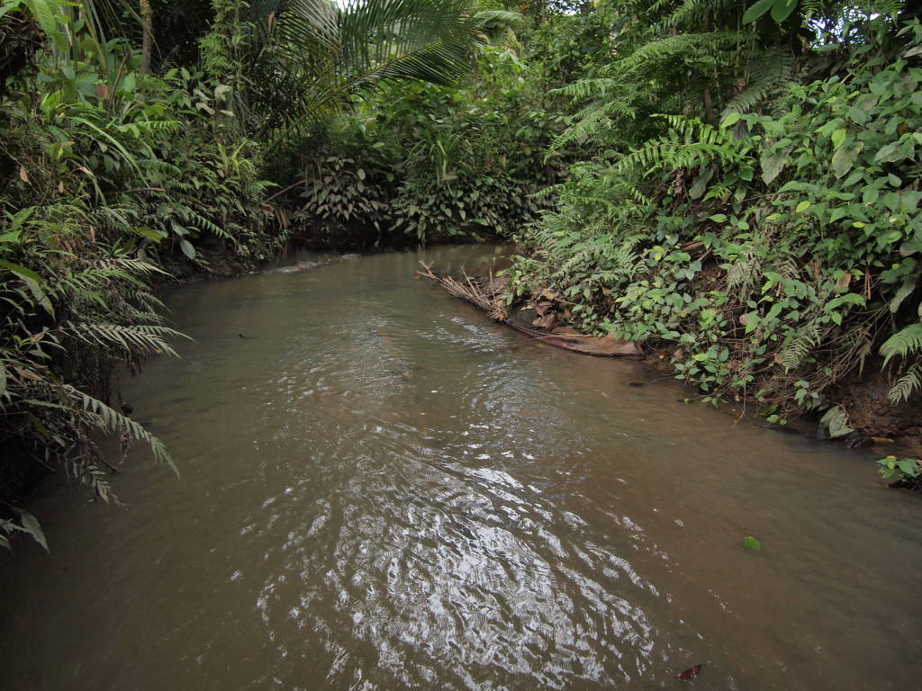 d0150727_14143518.jpg