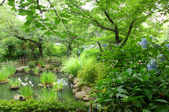 f0231829_20142386.jpg