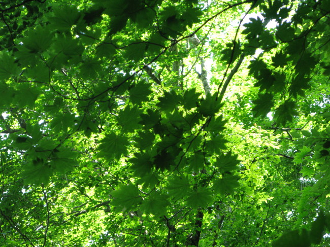 f0017530_214921.jpg