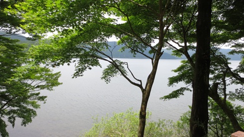 d0062132_2592598.jpg