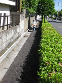 b0116933_1274781.jpg