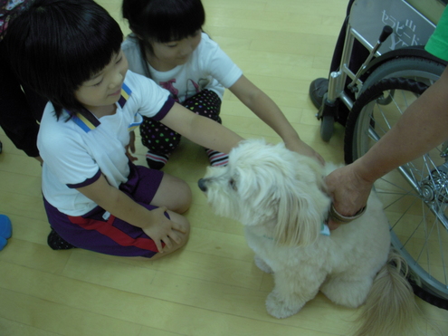 c0114833_1456519.jpg