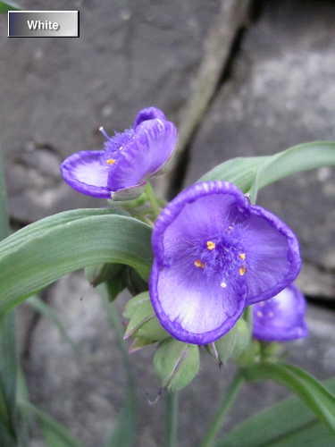 c0227134_23454345.jpg