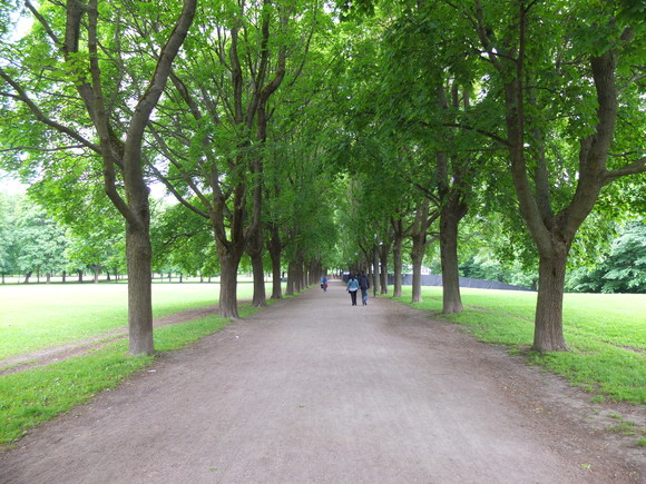 f0131934_1713456.jpg