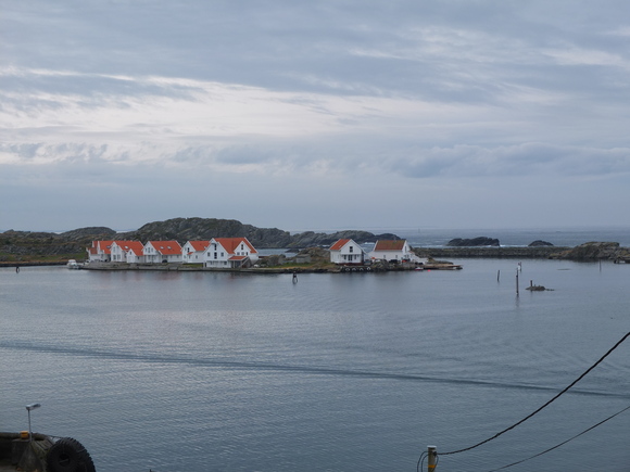 f0131934_19464277.jpg