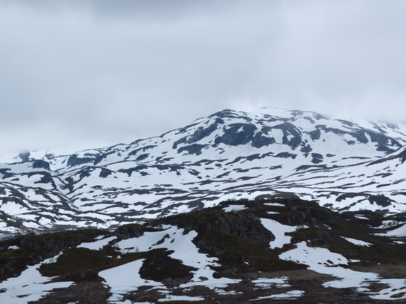 f0131934_21533675.jpg