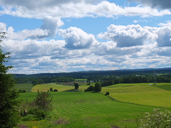 f0131934_22173314.jpg