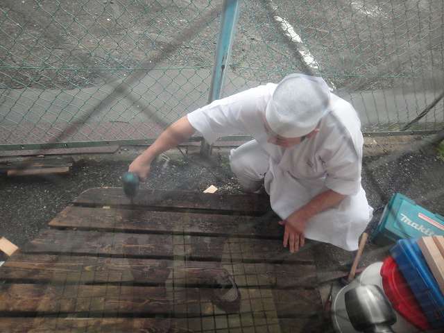 f0208737_845573.jpg