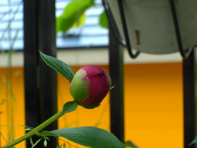 a0249443_1224416.jpg