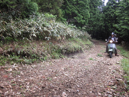 a0255446_2183531.jpg