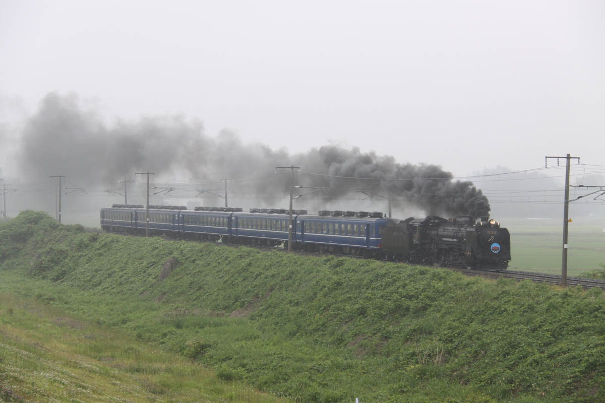a0082347_21221215.jpg
