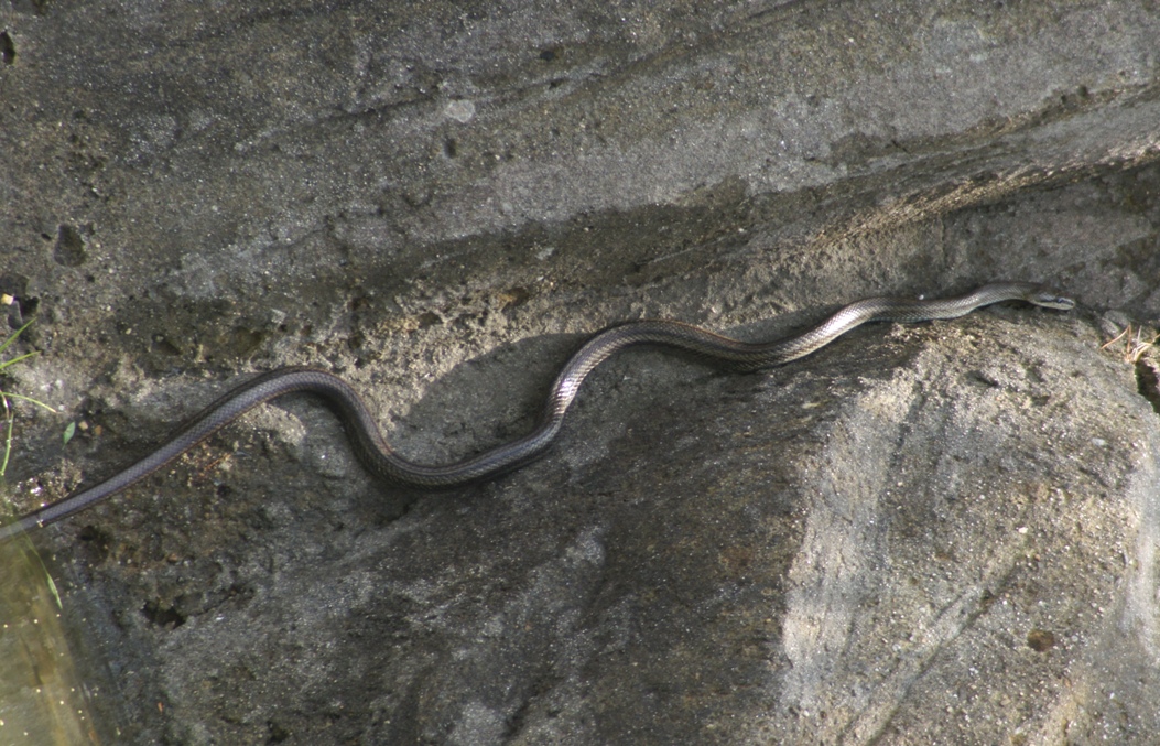 e0008749_22585795.jpg