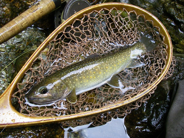 f0212059_034021.jpg