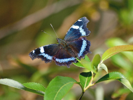 f0208666_17205441.jpg
