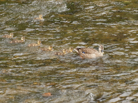 f0208666_17422781.jpg