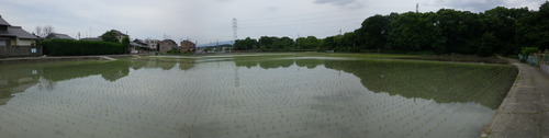 e0143671_13321625.jpg