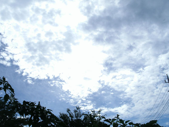 e0112077_12404588.jpg