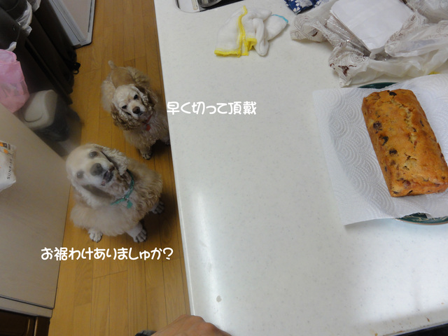f0218182_164129.jpg