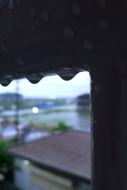 a0189883_22342480.jpg