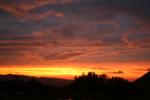 a0116490_23412285.jpg