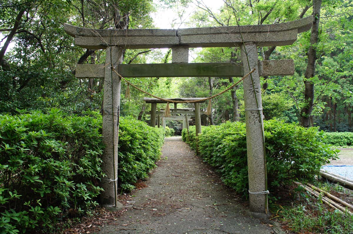 b0165802_7332052.jpg