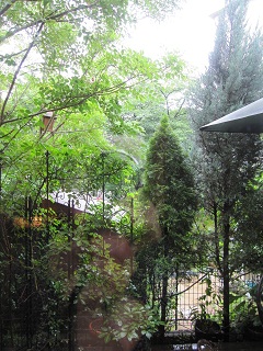 c0152002_18264855.jpg