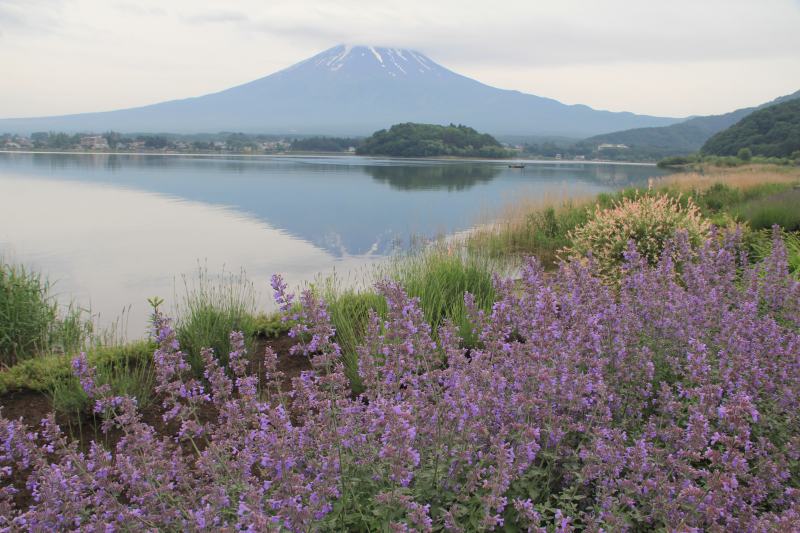 a0188405_1253287.jpg