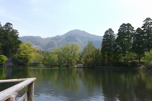 b0061107_22514630.jpg