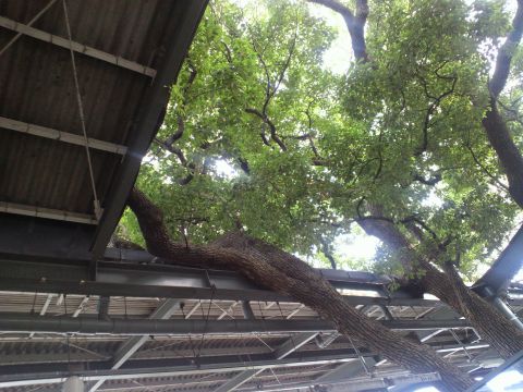 f0127610_18225265.jpg