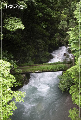 e0207511_2224340.jpg