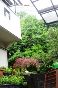 f0000521_73141100.jpg