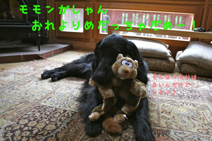 c0237824_23195545.jpg
