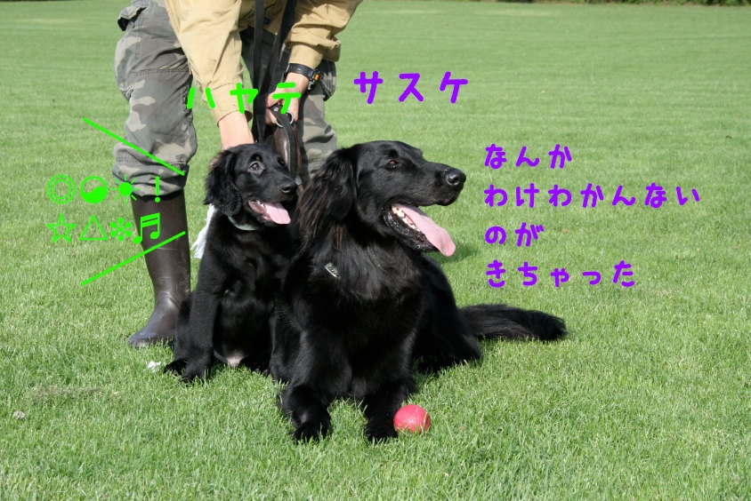 c0237824_23353652.jpg