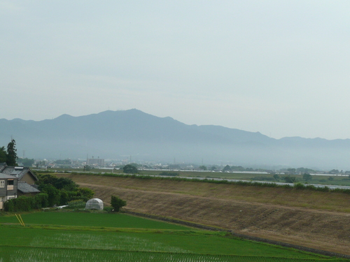 c0009528_23355658.jpg