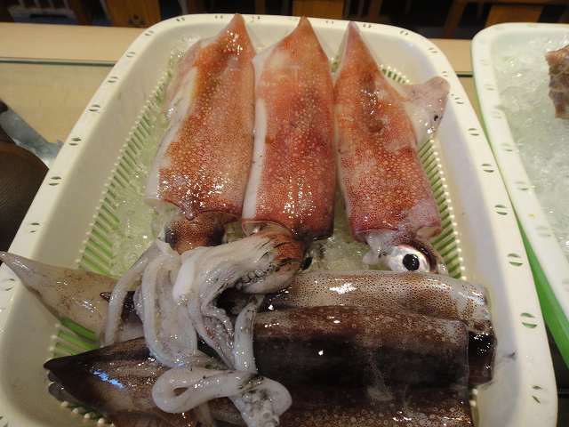 f0208737_7584848.jpg