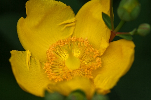 a0242438_23171271.jpg