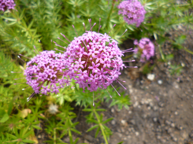 c0233141_13594619.jpg