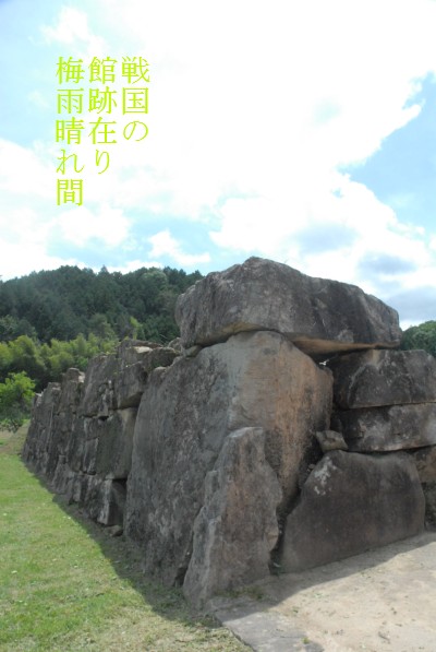 d0098541_1714199.jpg