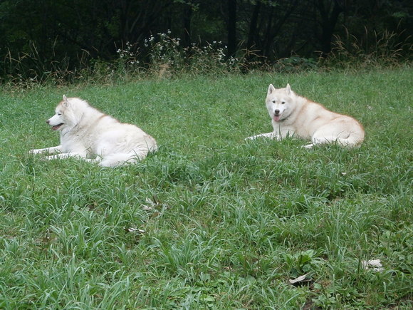e0121548_18292126.jpg