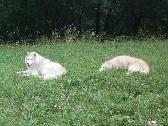 e0121548_1915648.jpg