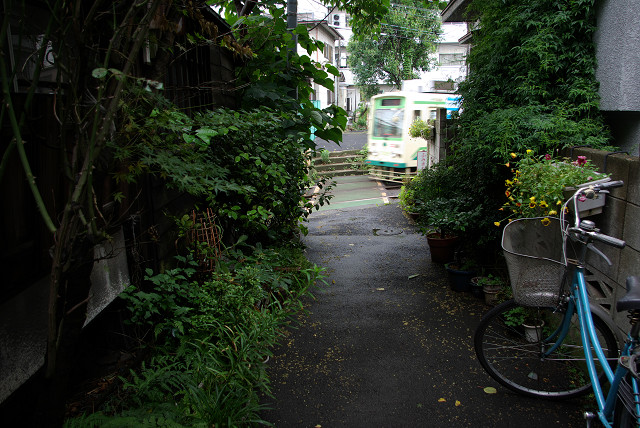 c0080357_19231577.jpg