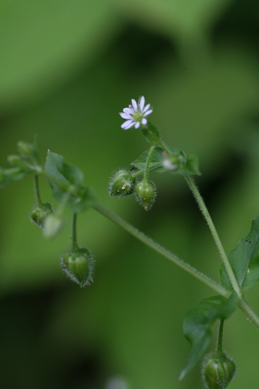 d0244960_21512816.jpg