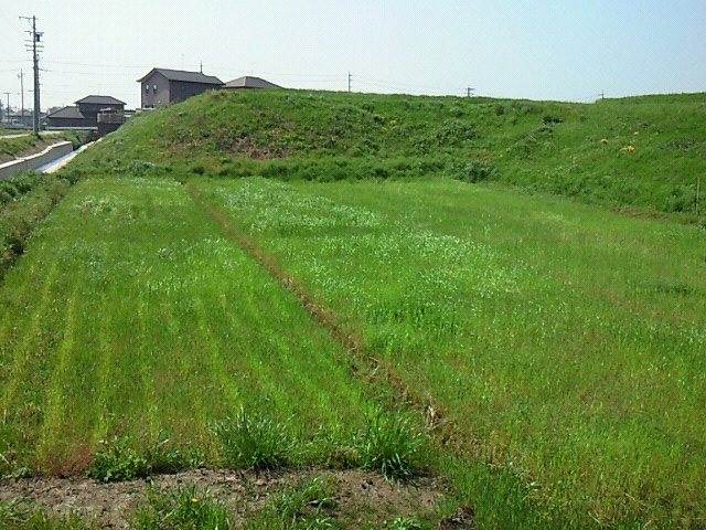 b0139862_10495735.jpg