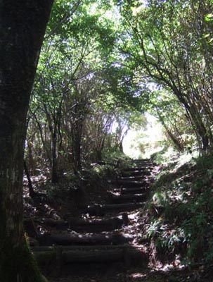 c0011862_23163199.jpg