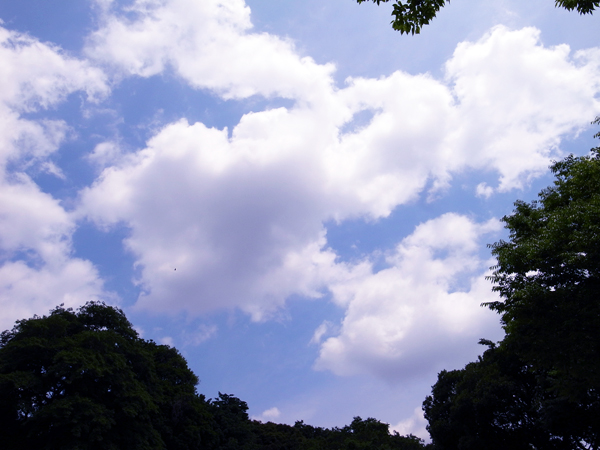 c0048265_17102026.jpg
