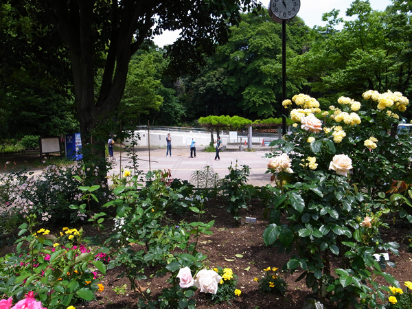 c0048265_17143033.jpg