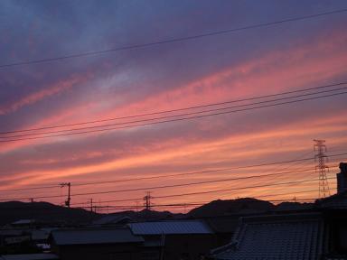 c0083165_20124128.jpg