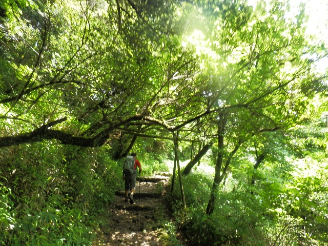 c0042869_20221569.jpg