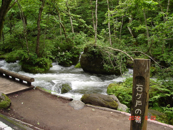 a0188775_8543222.jpg